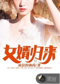 女婿归来