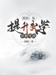 模拟：从提升武学开始无敌