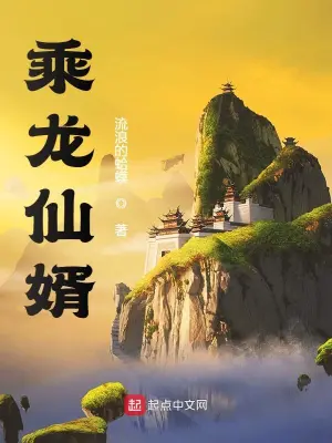 乘龙仙婿王冲朱英