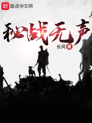 秘战无声 长风 著